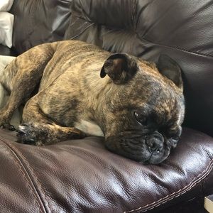 Meet your Posher, Cody